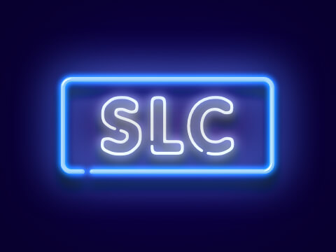 The Lyftie Awards 2018 SLC Neon
